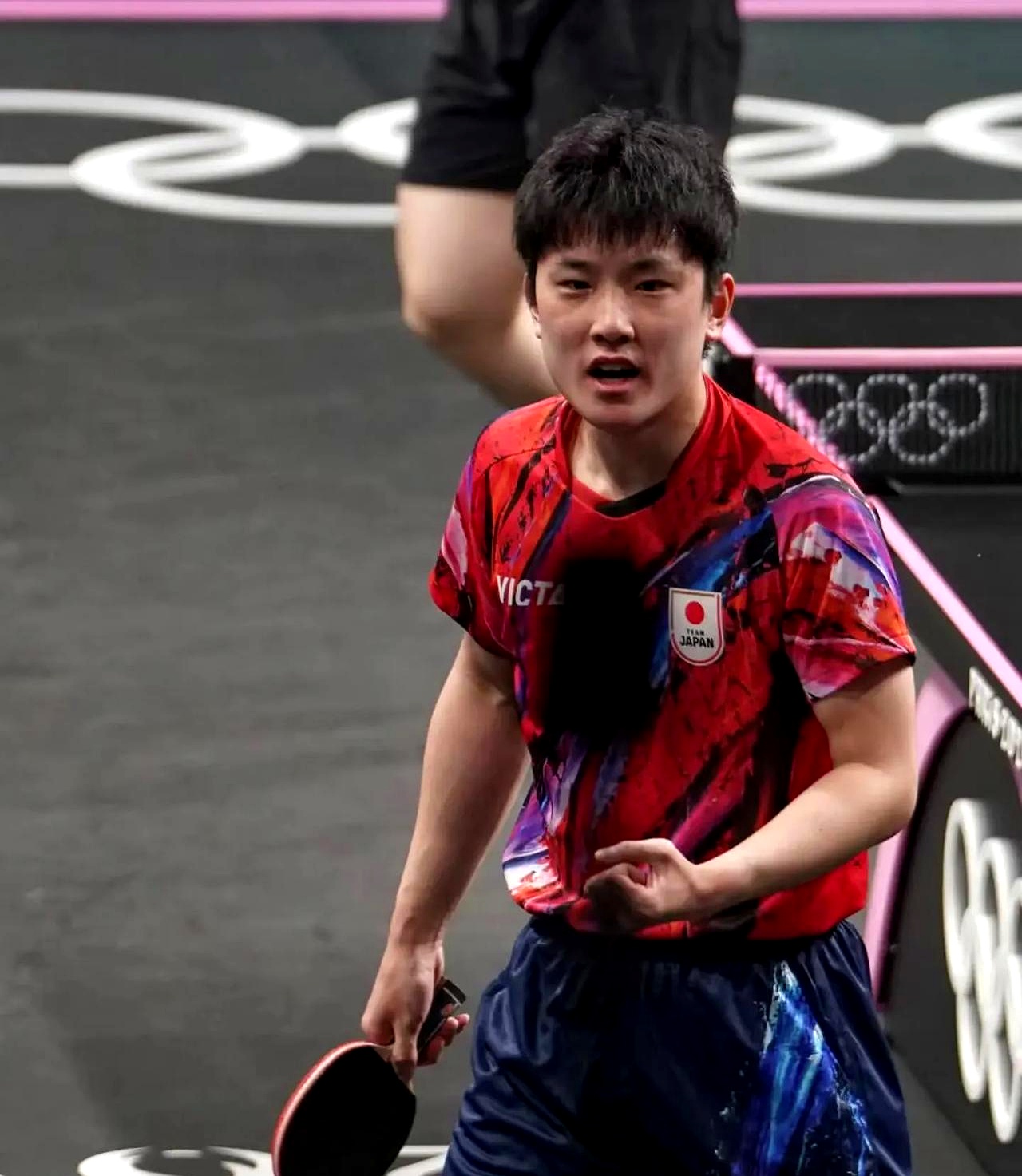 波兰队鏖战奥地利队，张本智和点燃赛场