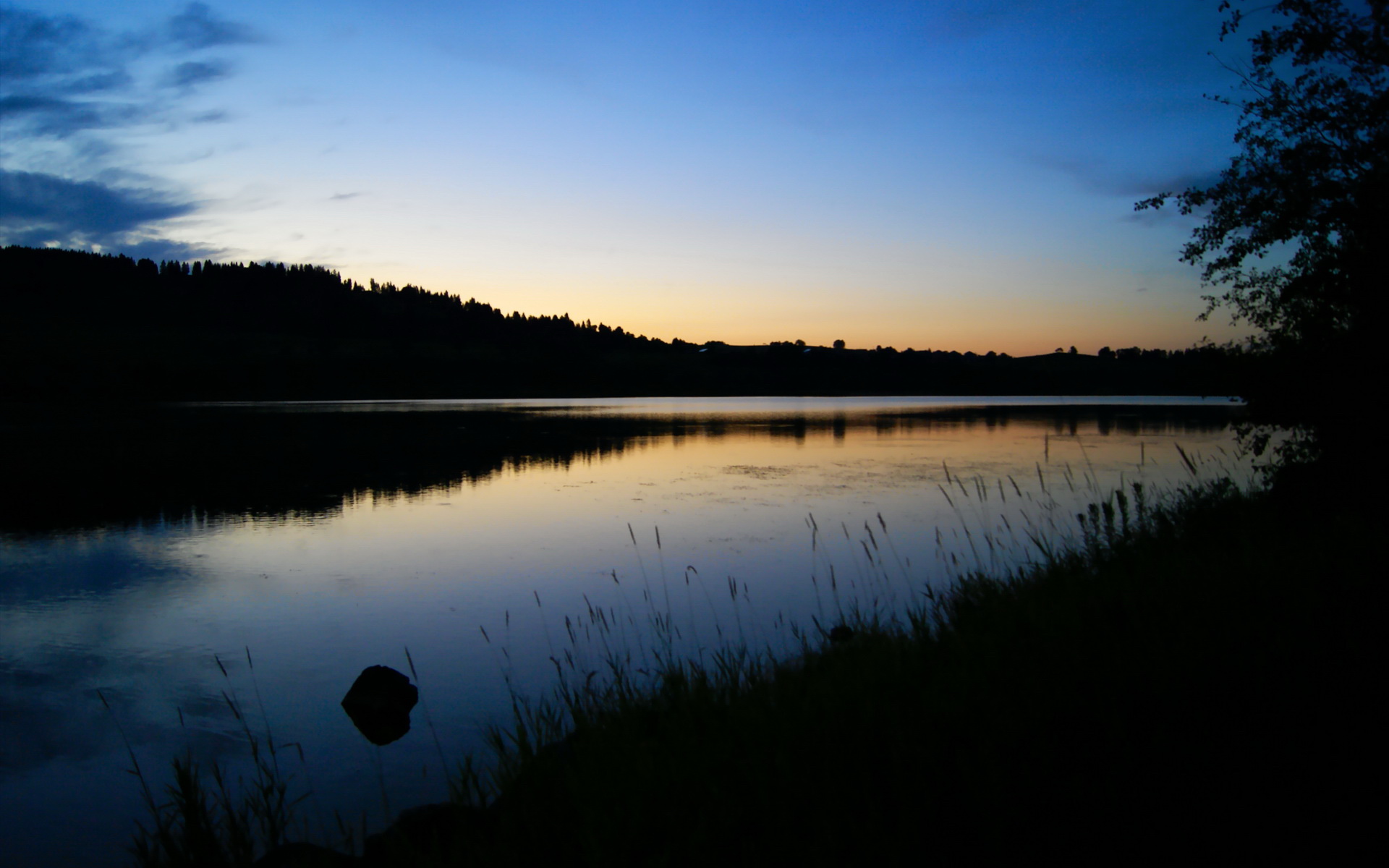 森林狼强势压制鹈鹕，锡安跨界德甲争冠战惊艳全场，篮球巨星的多元影响力